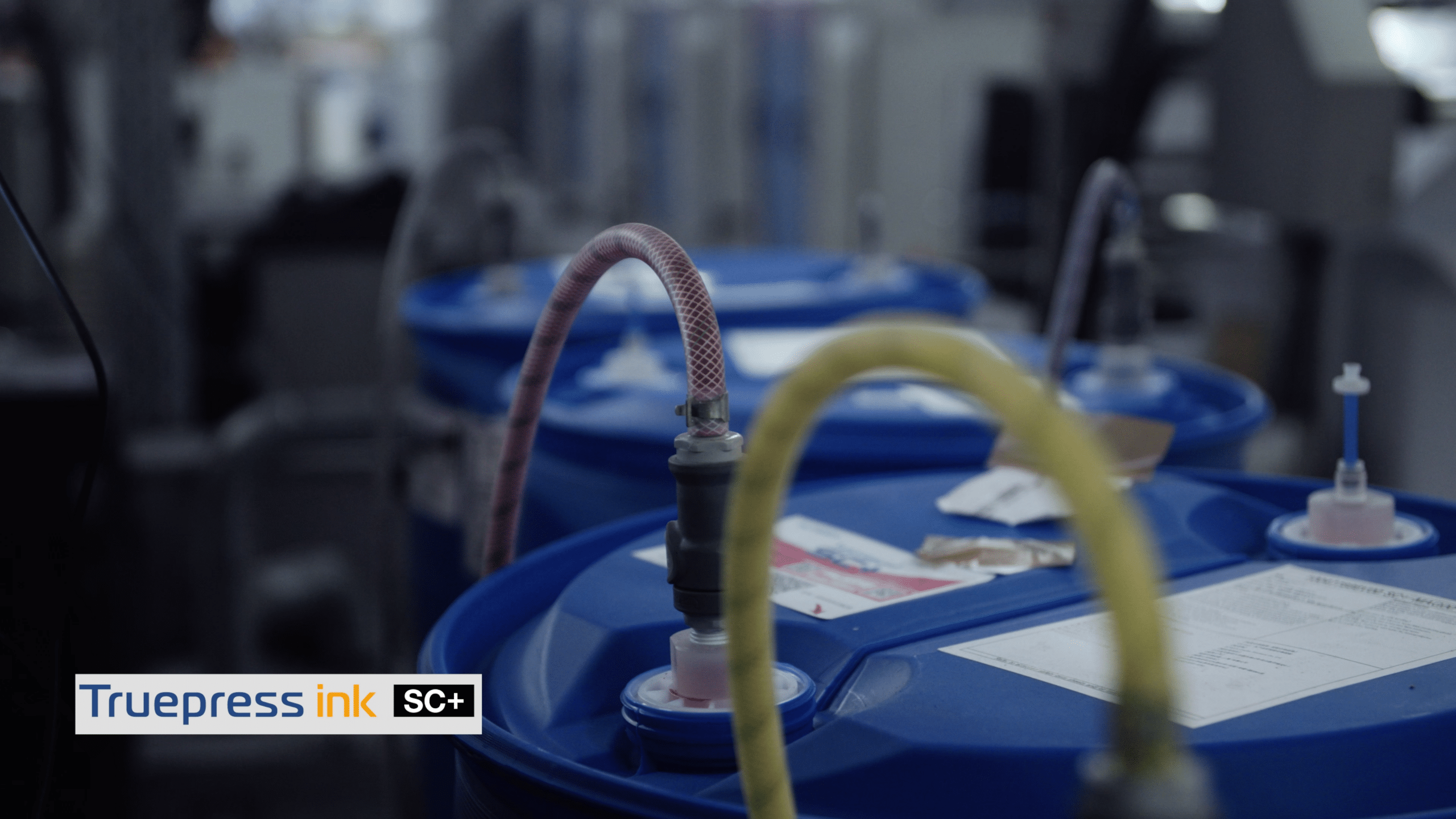 Screen August Faller Perspective.00 13 19 24.Still086 1