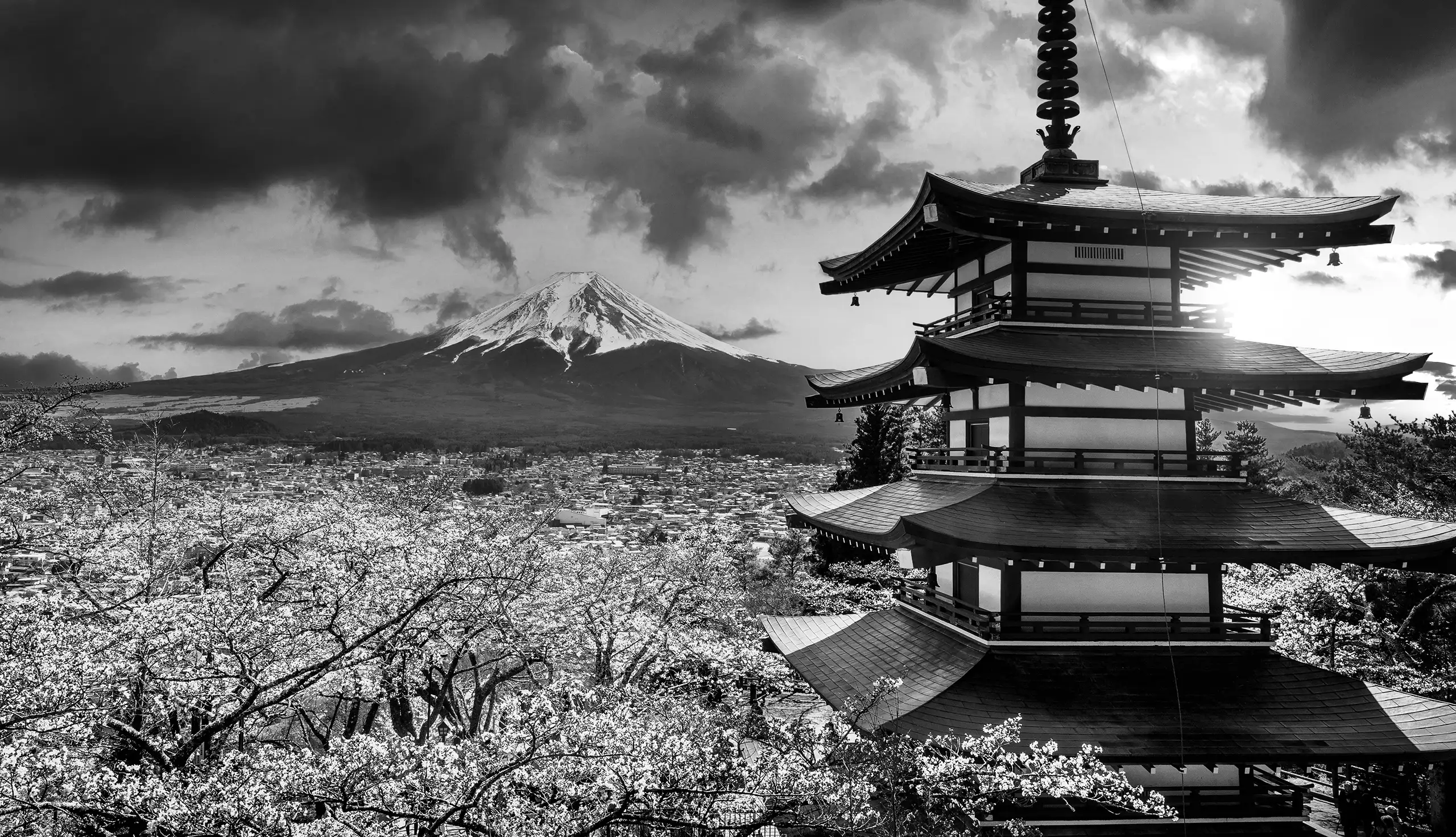 Screen Truepress 520HD Mono Hero Background scaled 1